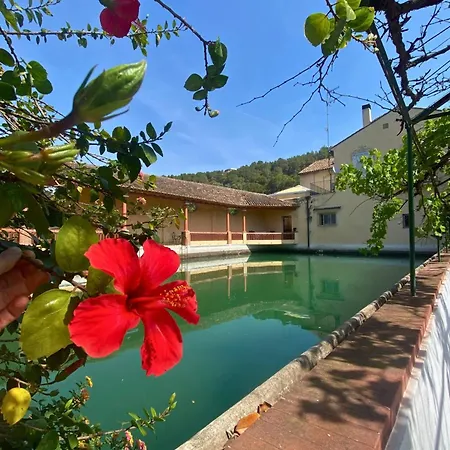 Guest house In - Mandarina With Incredible View Alzira