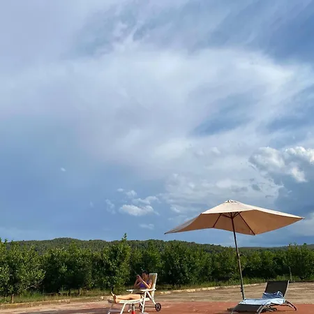 In - Mandarina With Incredible View * Alzira