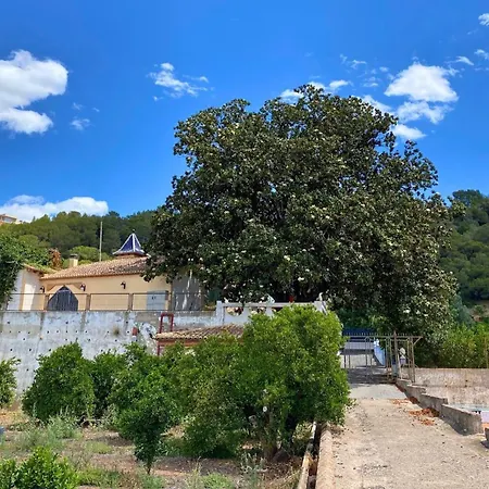 Guest house In - Mandarina With Incredible View Alzira