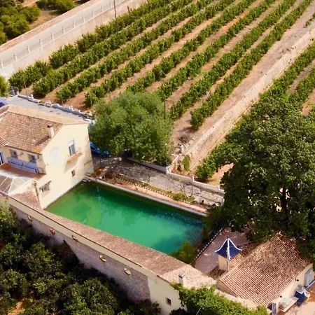 In - Mandarina With Incredible View * Alzira