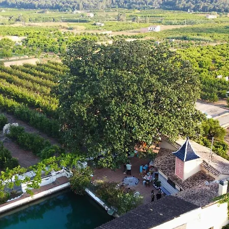 In - Mandarina With Incredible View