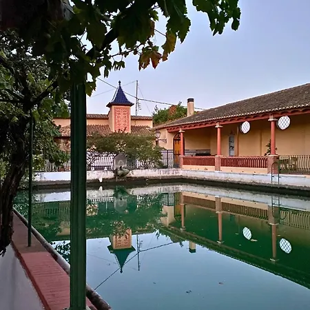 In - Mandarina With Incredible View Alzira