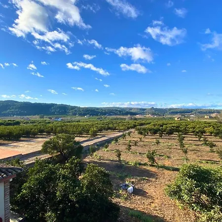Guest house In - Mandarina With Incredible View Alzira